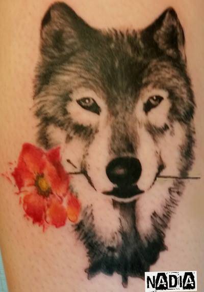 זאב עם פרח